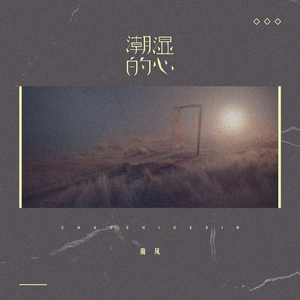 一级做ae视频片段怎么弄过软件
