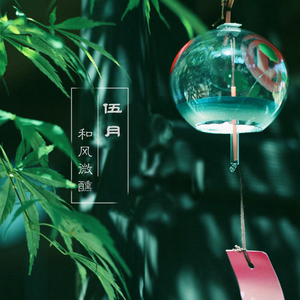 一级做ae视频片段怎么弄过软件
