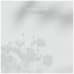 一级做ae视频片段怎么弄过软件
