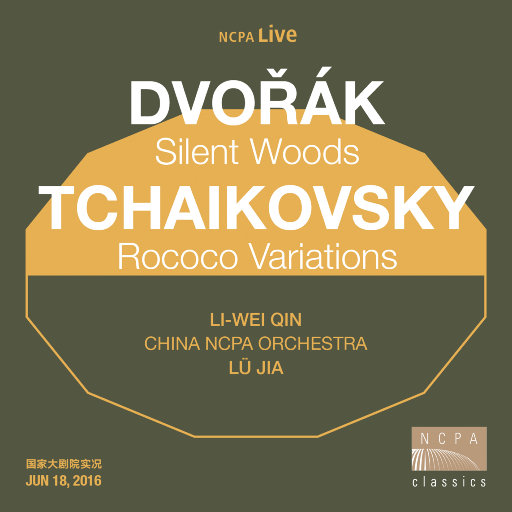 一级做ae视频片段怎么弄过软件
